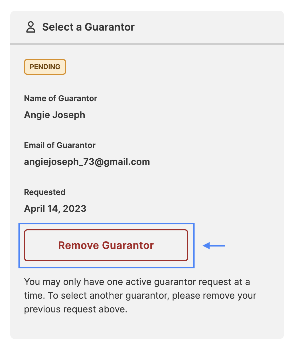 3_Change_Guarantor.png