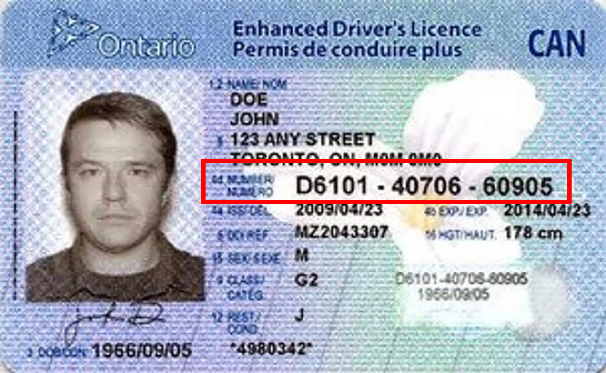 new-uk-driving-licenses-and-number-plates-remove-eu-flag-transport