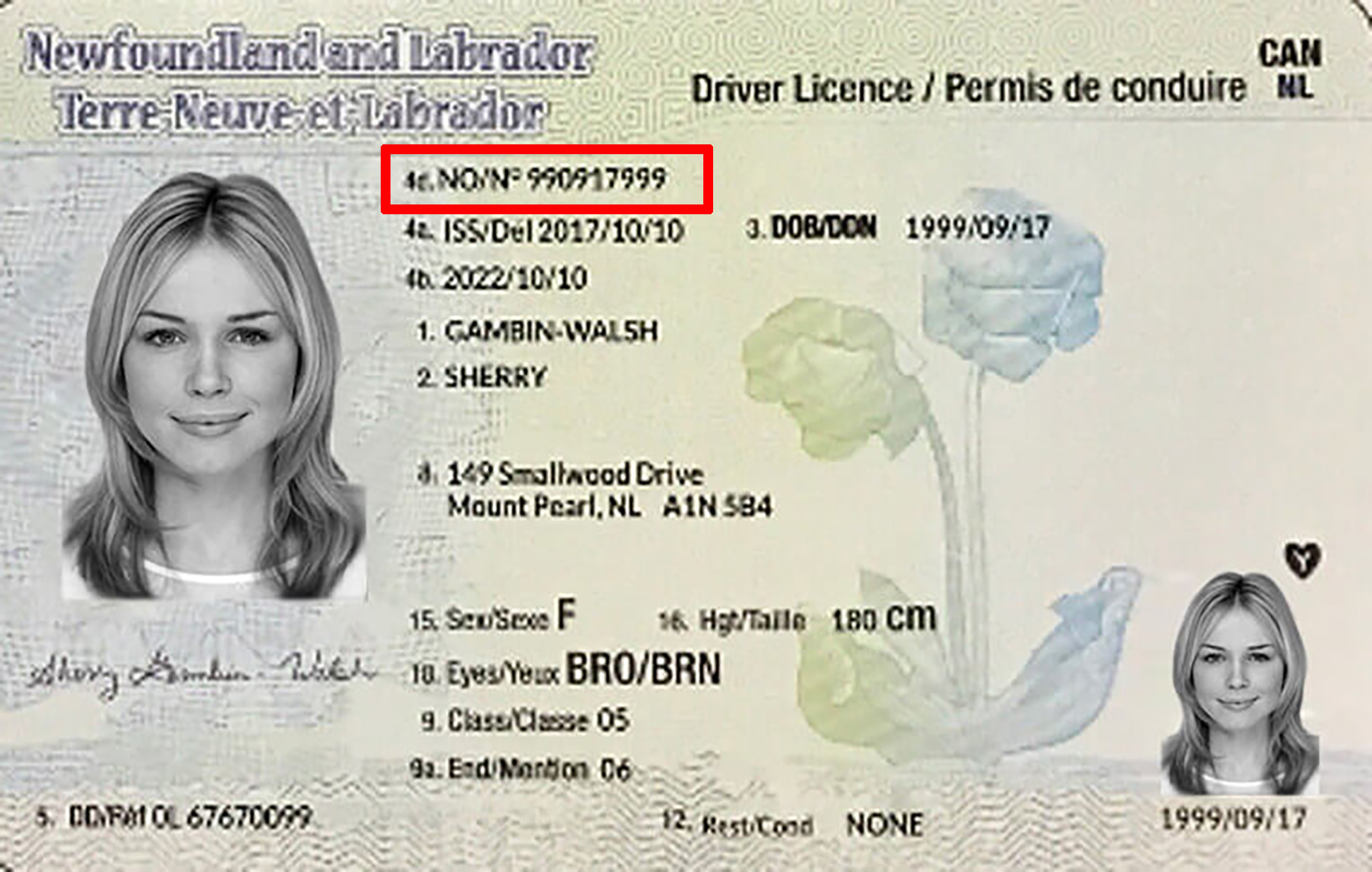 newfoundland-drivers-licence.jpg