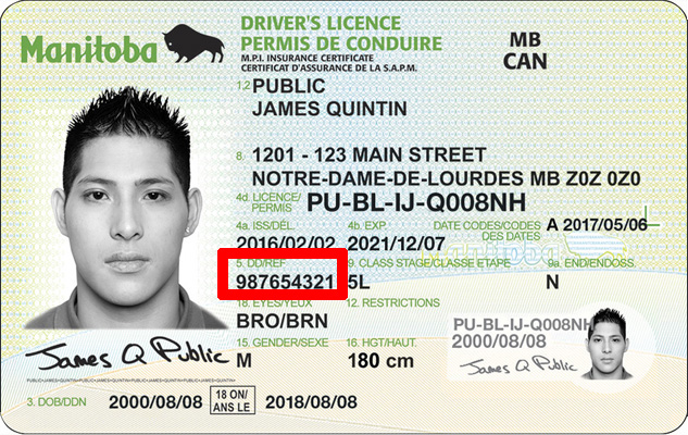 driver-license-1.jpg